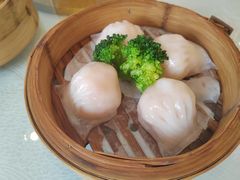 -东方御宴海鲜酒楼(棕泉酒店)