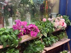 -亭亭鲜花店(中山北路店)
