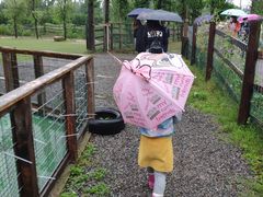 -前小桔亲子创意农场·草莓采摘·露营烧烤