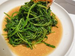 南京菊花脑-民国红公馆·秦淮八艳(夫子庙店)