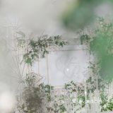 仙女🧚‍♀️新娘的最爱[耶]小预算白绿典雅婚礼｜罗源金源唯爱今生