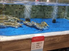 水产区-阿杜打边炉(五江天街店)
