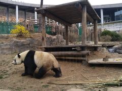 -大连森林动物园