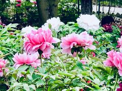 -幕燕滨江·长江观音景区