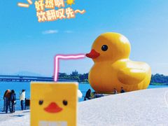 -深圳人才公园
