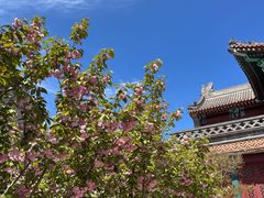 -天津大悲禅院