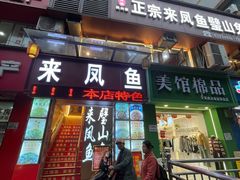 -正宗来凤鱼璧山兔(花卉园店)
