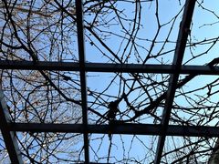 -春晖园度假酒店温泉