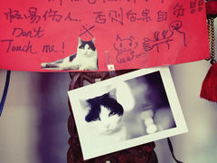 iphone_upload_pic-Anne猫窝咖啡屋