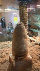 -Zoolung Zoolung动物主题公园(海信广场店)