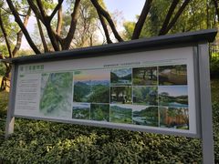 -云溪植物园
