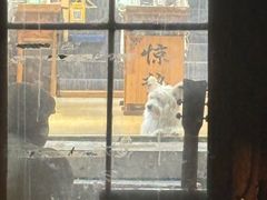 -大冰的小屋