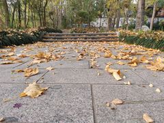 -龙门崮风景区