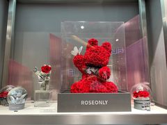 -ROSEONLY诺誓(广州K11店)