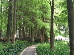 -人民公园(罗湖区)