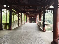-重庆彩云湖湿地公园