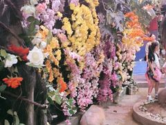 -正佳雨林生态植物园
