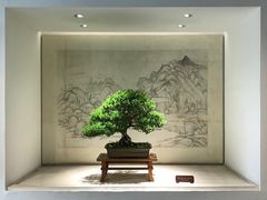 -扬州大运河文化旅游度假区·盆景园