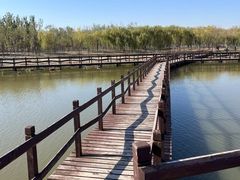 -西青郊野公园