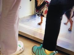 -全心全意连锁动物医院·微创中心·内科急重症·心脏专科(丰管路店)