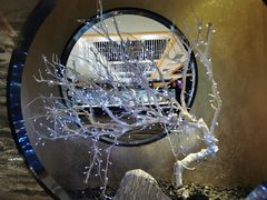 -红辣椒·川菜·火锅(张杨路店)