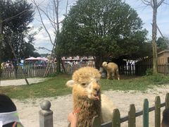 -云漫湖生态度假公园