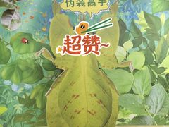 -上海昆虫博物馆