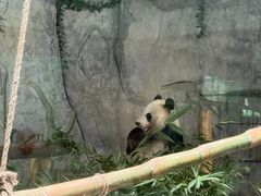 -深圳野生动物园