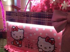 IMG_0667-奥斯汀KTV(金湖店)