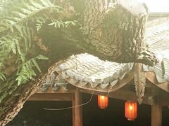 android_upload_pic-星巴克(福州三坊七巷店)