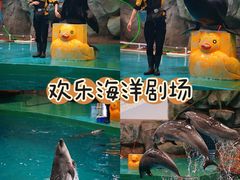 -威海华夏城景区