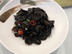 养生小木耳-骏莱海鲜鱼港(五角场店)