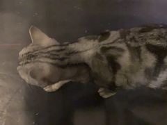 -小时光咖啡馆(北锣鼓巷店)