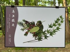 -杭州植物园