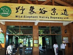 -野象谷景区
