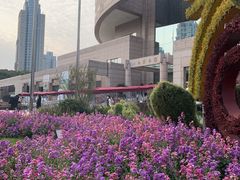 -上海博物馆(人民广场馆)