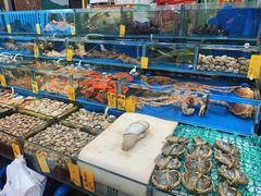 水产区-盛港湾海鲜食府(黄沙店)