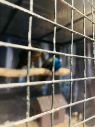 -酷嗒动物文化乐园(cutezoo西溪乐天城店)