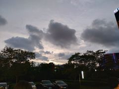 -巴四老城区炭火蛙锅(张江店)