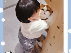 -飞行喵MR PILOT|猫舍·猫咖(静安大融城店)