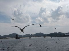 -海驴岛(荣成市)