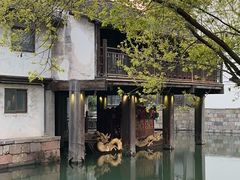 -乌镇景区
