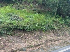 -黄山翡翠谷景区