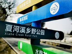 -夏河溪乡野公园