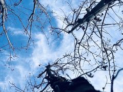-相门城墙文化休闲景区