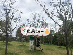 -牛岗山公园