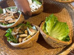 -滇野云南野生菌餐厅(陕西南路店)