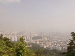 -美心皇宫(屯门大会堂店)