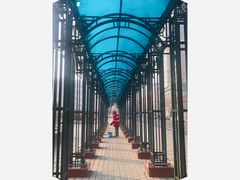 -圣·阿列克谢耶夫教堂