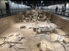 -洛阳周王城天子驾六博物馆